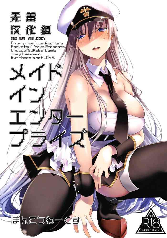 maid in enterprise cover 1