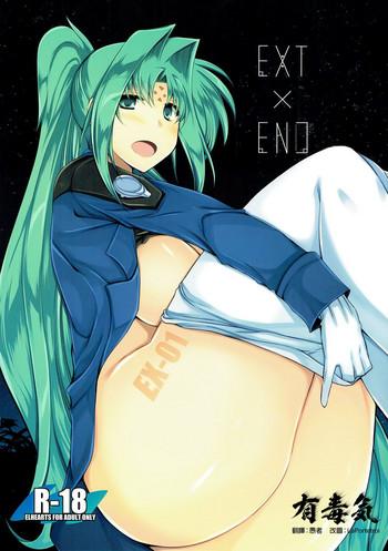 ext x end cover