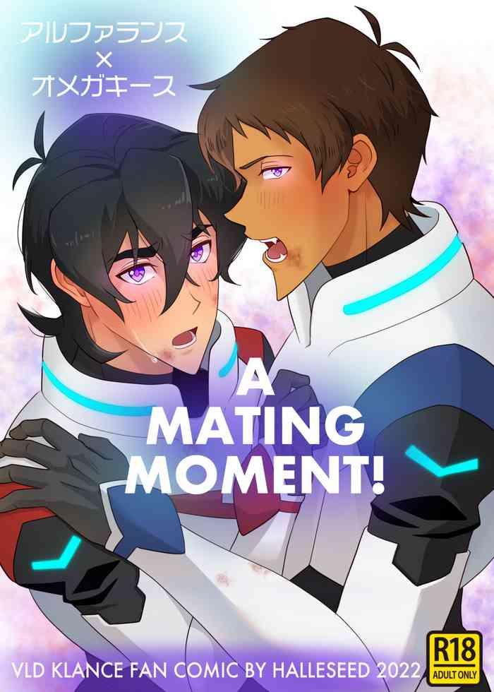 a mating moment cover