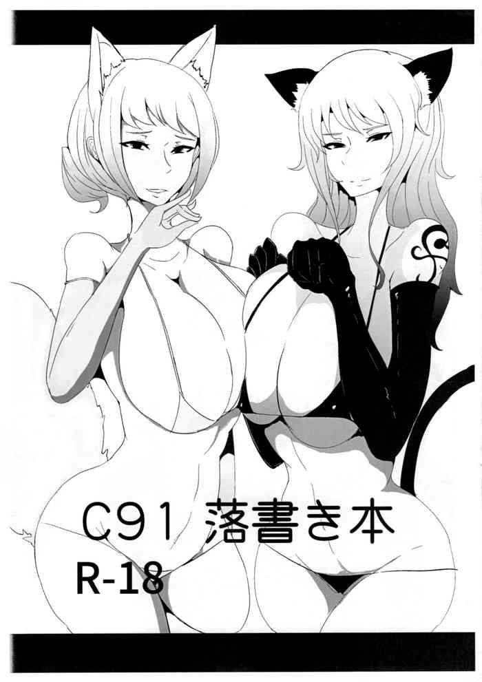 c91 cover