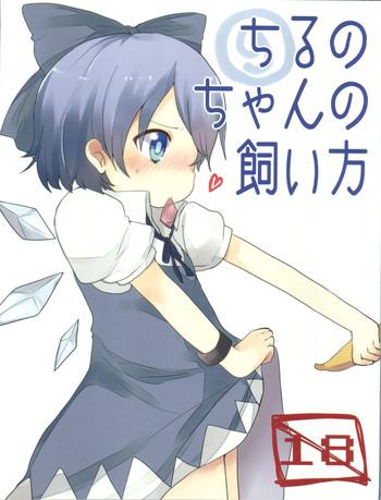 cirno chan no kaikata cover