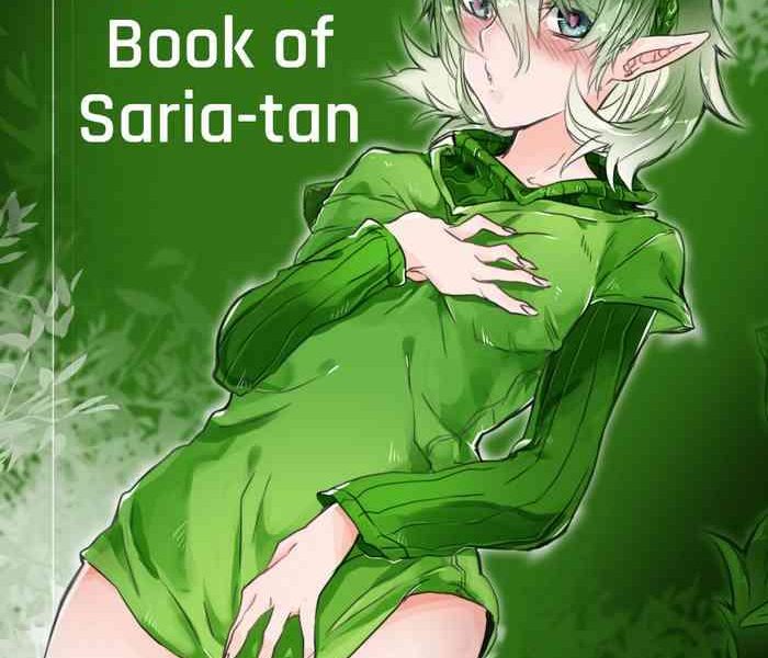 nekoman saria tan no ero hon the legend of zelda english unforgotten cover